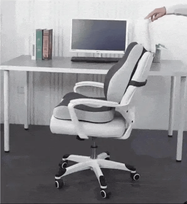 OrthoFlex Lumbar Memory Foam Chair Cushion for Car and Desk