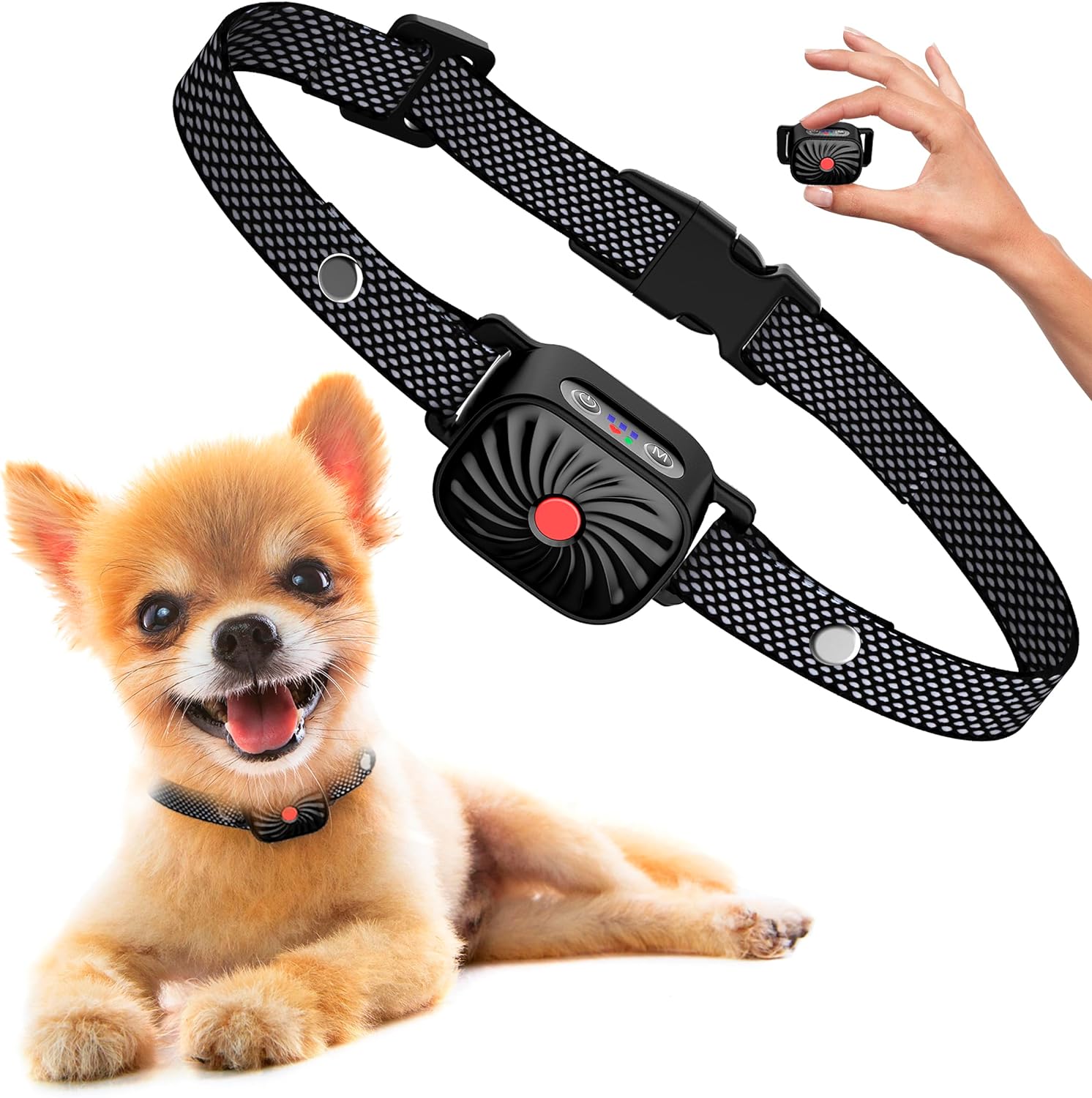 PawQuiet Anti Bark Collar for Small Dogs Training Band