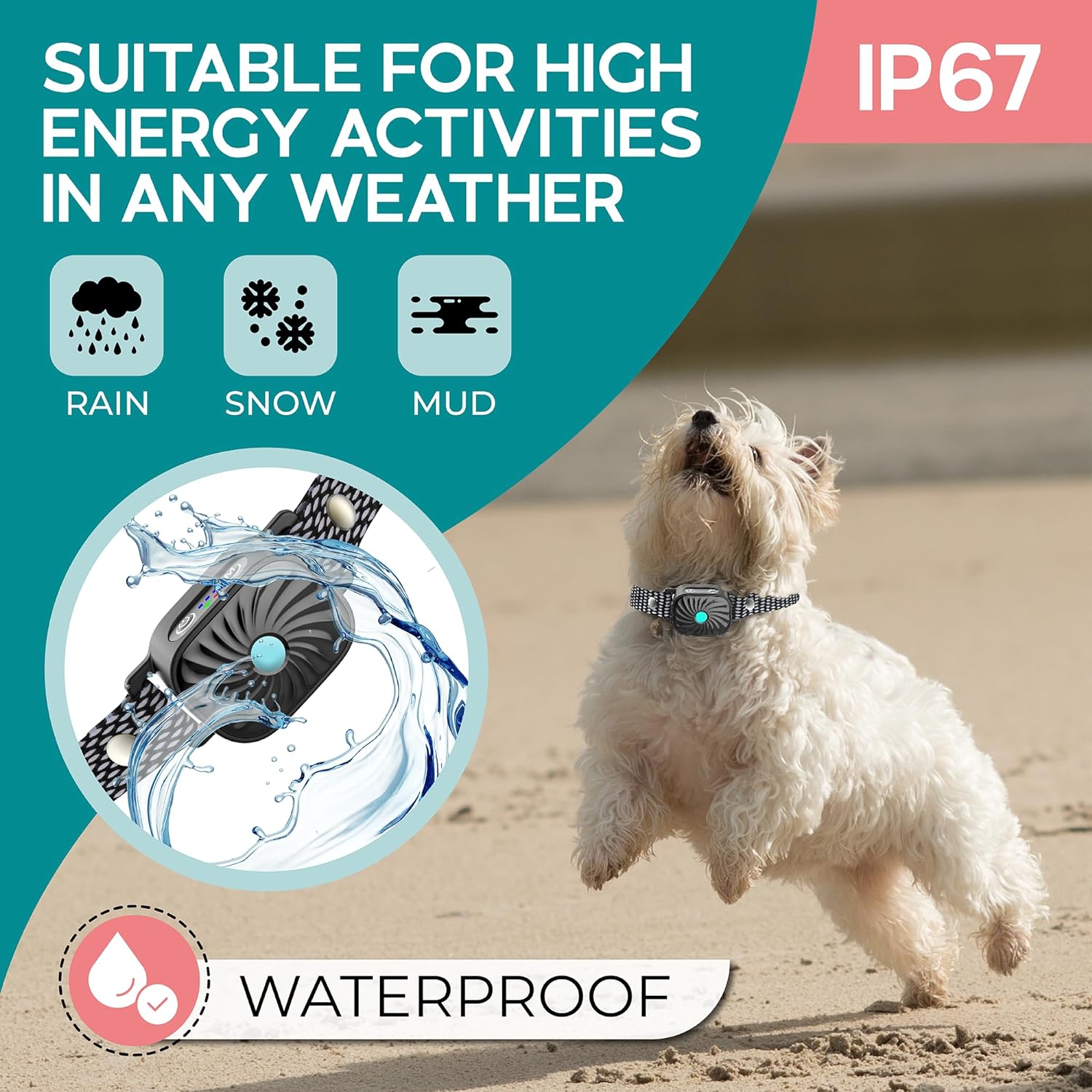 PawQuiet Anti Bark Collar for Small Dogs Training Band