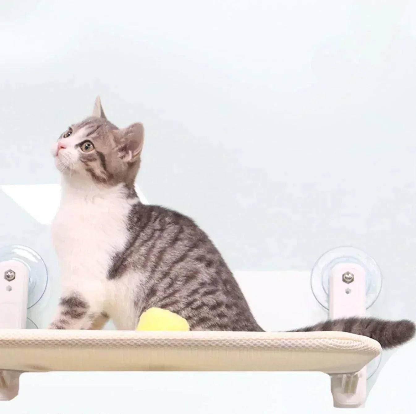 WhiskerNest Kattehængekøje Hængende Seng til Katte og Killinger