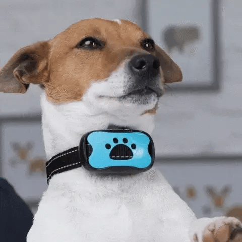 Zgarda QuietPaws Pro pentru câini, antrenament umanitar anti-lătrat