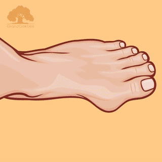 Separador de Dedos em Gel ValgusEase para Alívio da Dor do Hallux Valgus