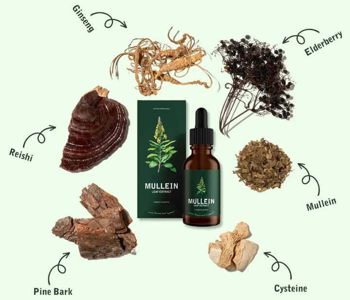 LunaraLeaf Königskerze und Chlorophyll Natürliche Lungenentgiftung