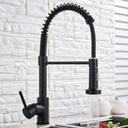 Aqualine Orbit Keukenkraan met 360 Graden Rotatie