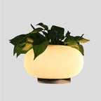 Lampada da tavolo ovale in vetro bianco stile industriale luce LED da comodino con accento di pianta