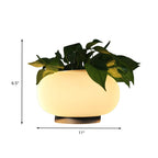 Lampada da tavolo ovale in vetro bianco stile industriale luce LED da comodino con accento di pianta