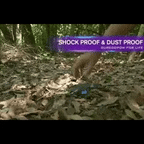 SolaraCharge Pico 500000mAh Power Bank Solar à Prova de Água