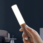 Motion Sensor Torch Light