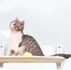 WhiskerNest Cat Hammock Hanging Bed for Cats and Kittens