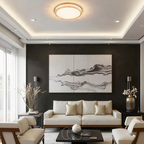 Norroe - Lampada da soffitto LED moderna di base