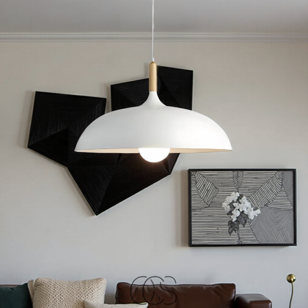 Norroe - Modern Matte Black Ceiling Lamp