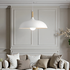 Norroe - Modern Matte Black Ceiling Lamp