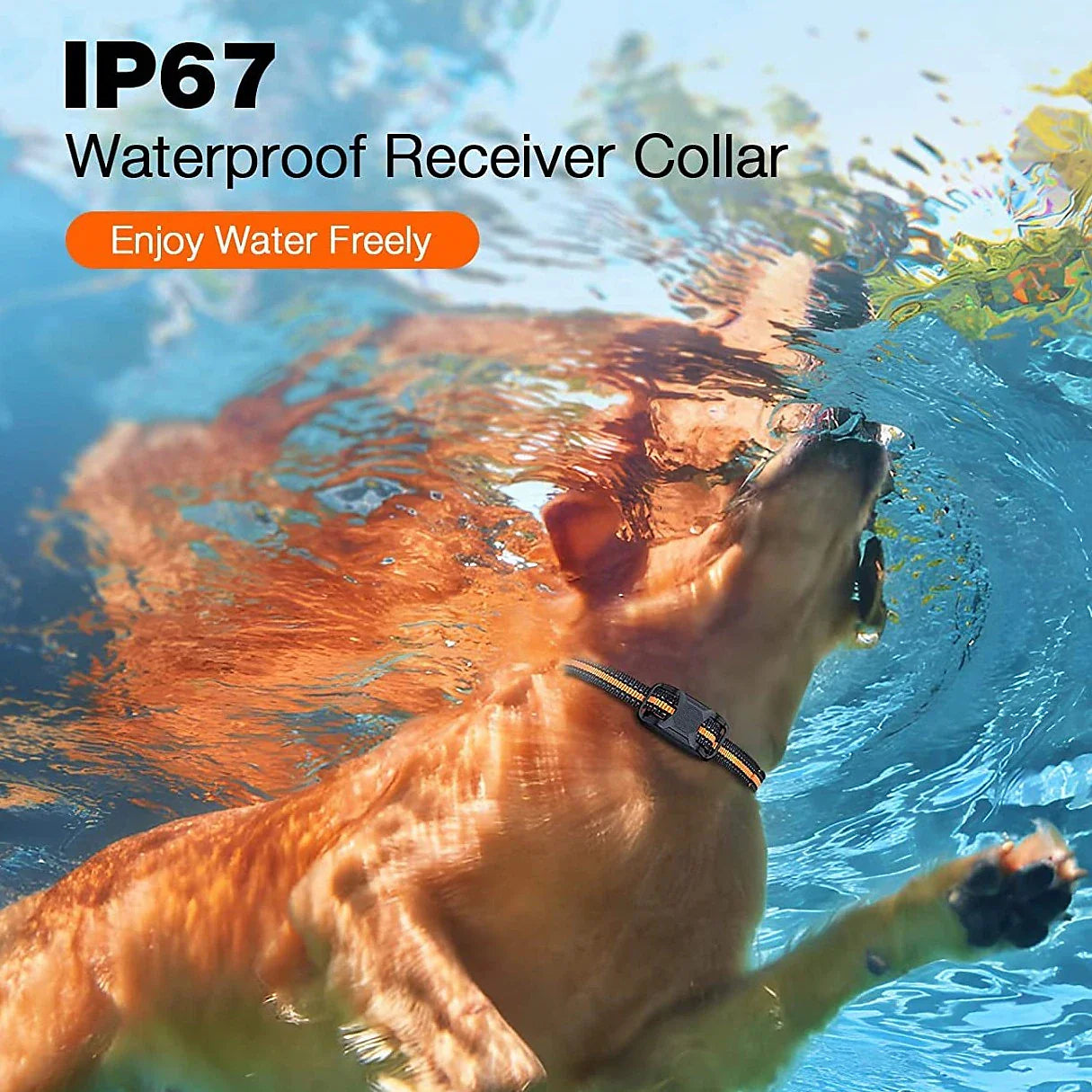 PulsePaw AquaPro Remote Dog Training Collar Waterproof