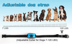 Zgarda QuietPaws Pro pentru câini, antrenament umanitar anti-lătrat