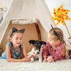 NovaGuard 1080P Wireless Indoor/Outdoor Home Security Camera