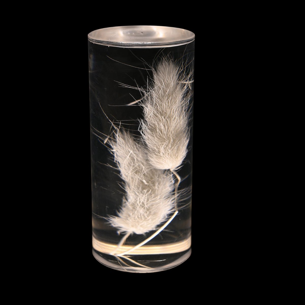 PetalGlow LED Table Lamp With Elegant Floral Mood Lighting