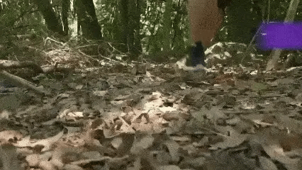 SolaraCharge Pico 500000mAh Power Bank Solar à Prova de Água