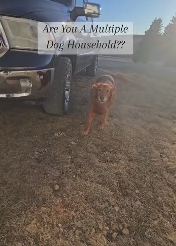 PulsePaw AquaPro Remote Dog Training Collar Waterproof