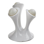 אורות לילה פטרייתיים לומיאורב