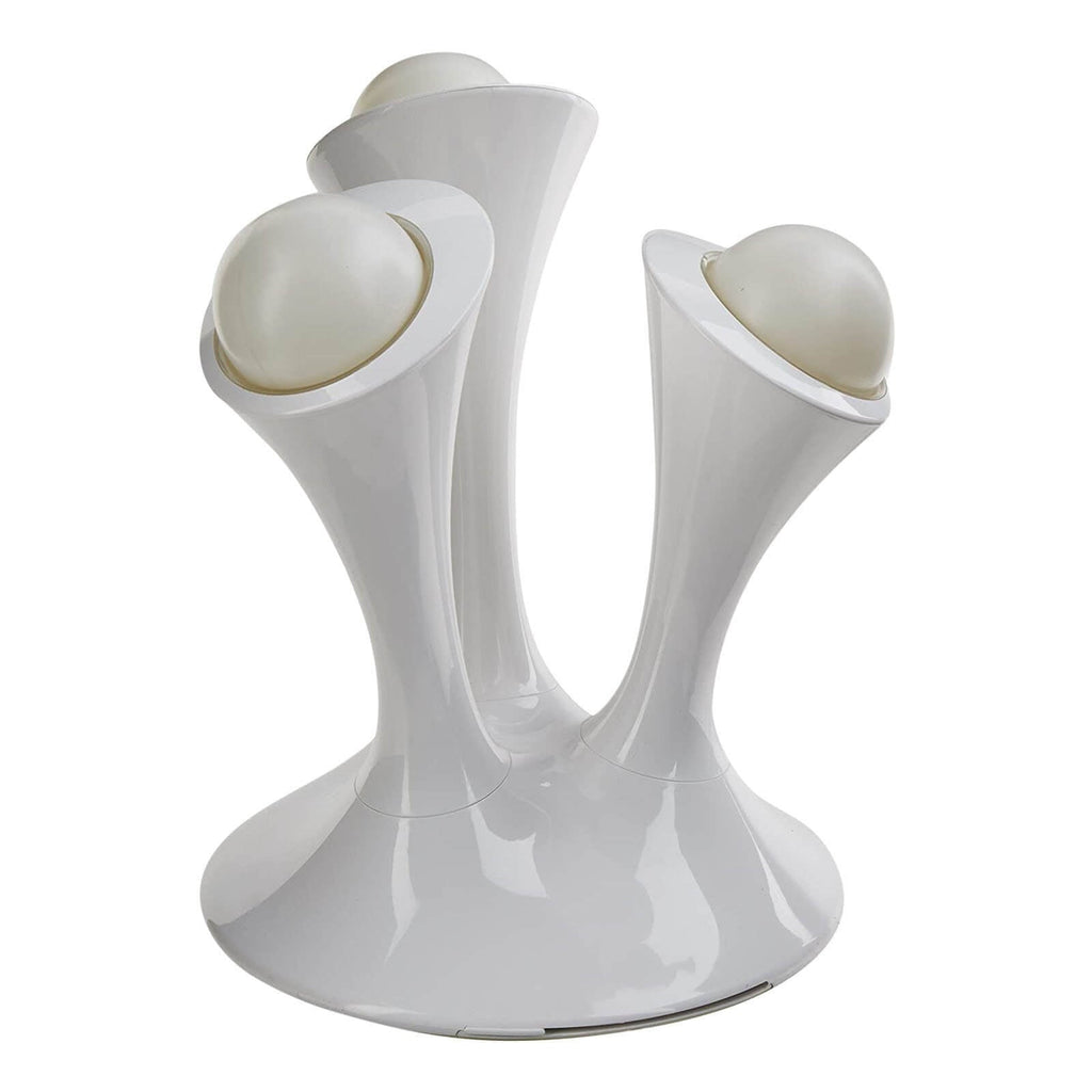 אורות לילה פטרייתיים לומיאורב