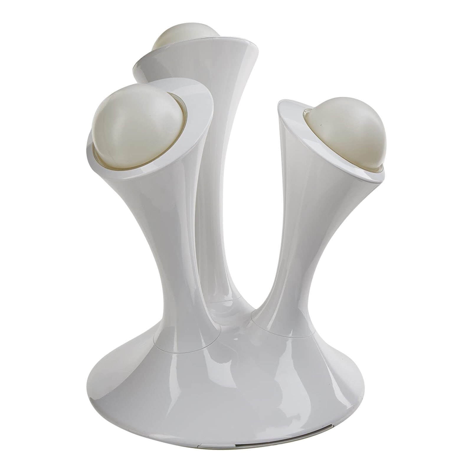 אורות לילה פטרייתיים לומיאורב