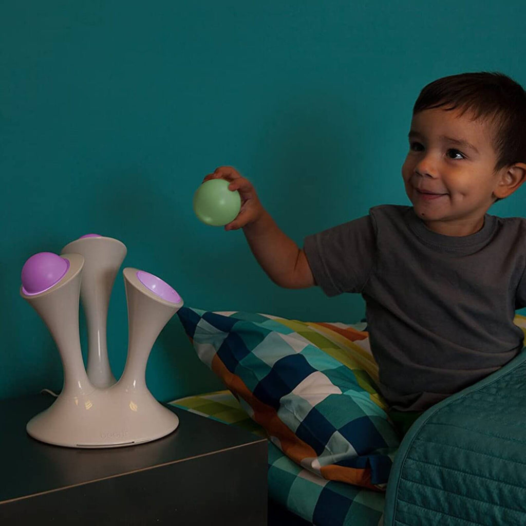 אורות לילה פטרייתיים לומיאורב