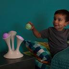 אורות לילה פטרייתיים לומיאורב