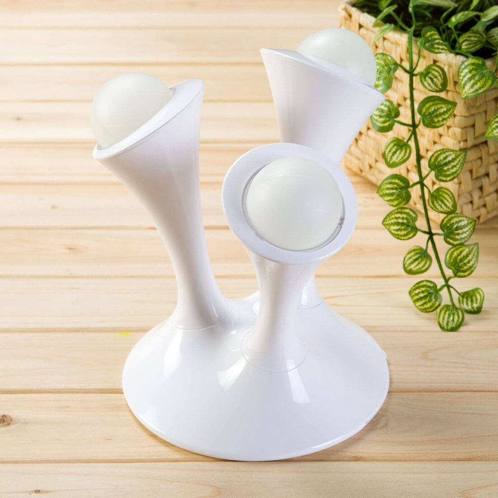 אורות לילה פטרייתיים לומיאורב