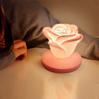 Amora Rose Lampe